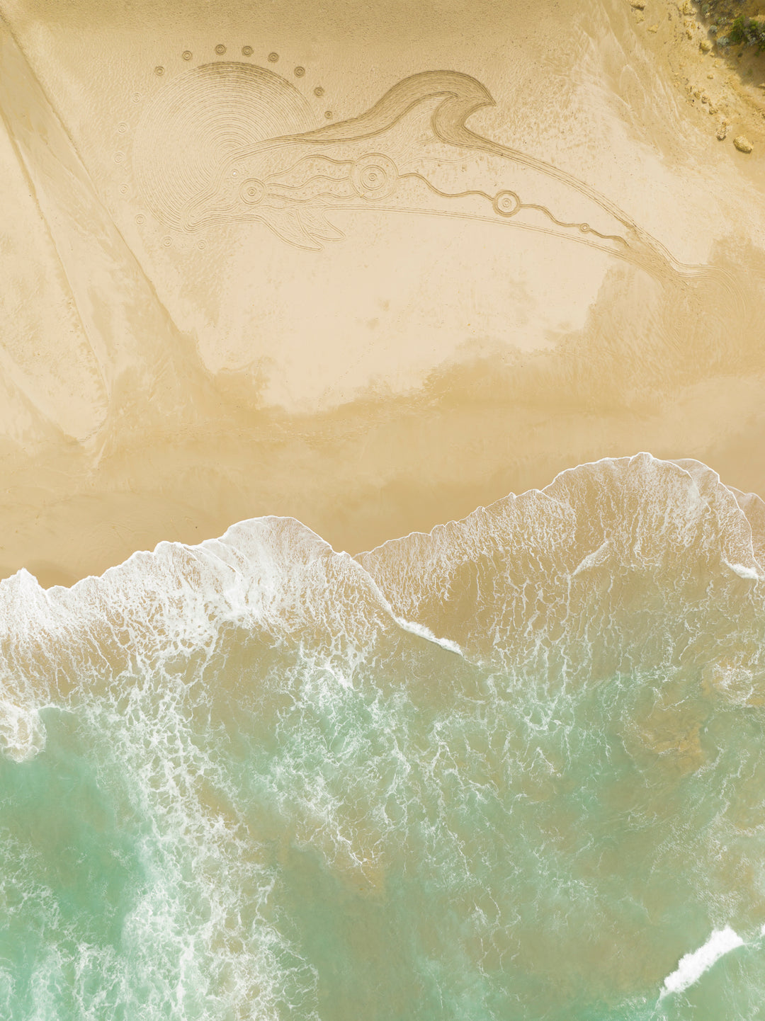 'Dolphin, Water, Sun, Spirit’ - Limited Edition Artwork by Salty One