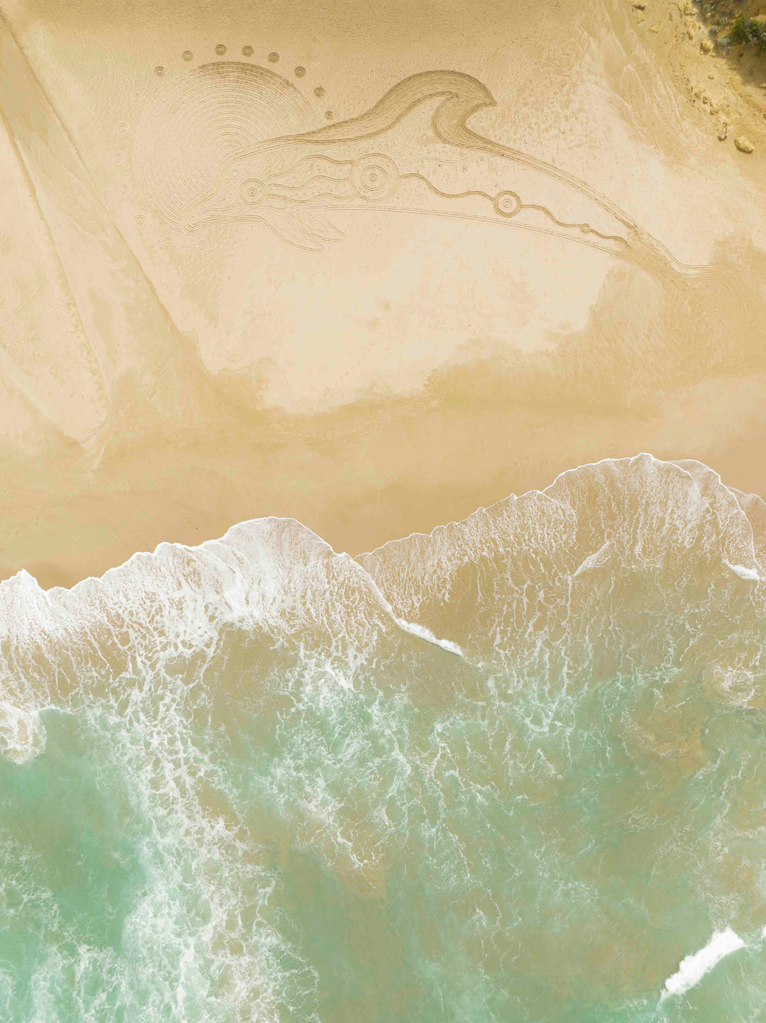 'Dolphin, Water, Sun, Spirit’ - Limited Edition Artwork by Salty One