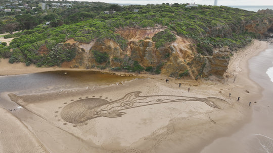 'Dolphin, Water, Sun, Spirit’ - Limited Edition Artwork by Salty One