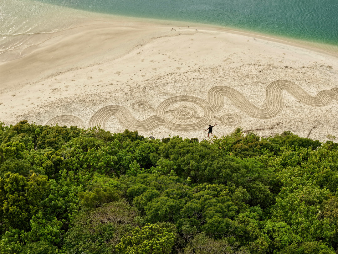 Salty One X Bundjalung Dreaming "Two Worlds, One Journey" **Original Artwork**
